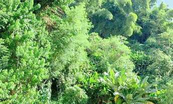 Imagem 6: Apartamento no Leme com 3 quartos e garagem