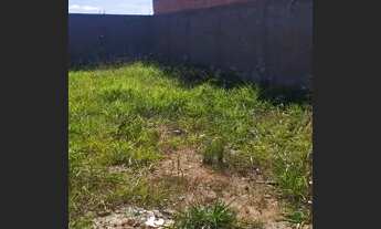 Imagem 2: Lote Murado 230m²