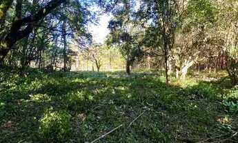 Imagem 2: Sítio Com Entrada De 4.900 E Parcelas De 650. ROB:774