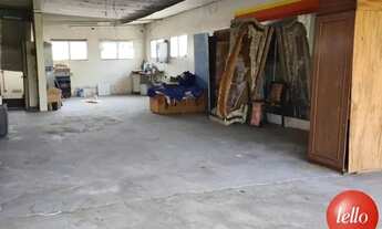 Imagem 6: São Paulo - Prédio Inteiro - Penha