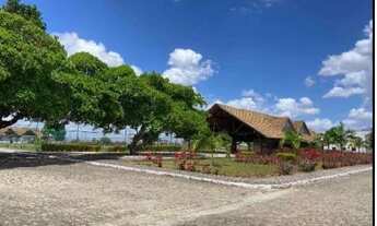 Imagem 2: LIMOEIRO - Casa Padrão - CAMPO GRANDE