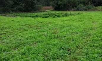 Imagem 5: Sítio em Canela!