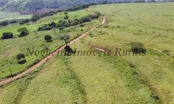 Imagem 4: Fazenda com 136 alqueires na região de Jaú (Nogueira Imóveis Rurais