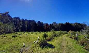Imagem 4: Terreno no bairro Alpes Verdes em Canela!