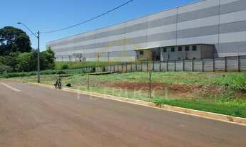 Imagem 7: Terreno - Matão - Campinas