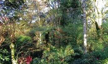 Imagem 6: Terreno no bairro Lago Negro em Gramado!