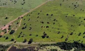 Imagem 2: Fazenda de 721 alqueires em São Miguel do Araguaia-Go