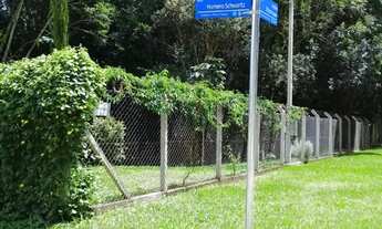 Imagem 4: Chácara em Olhos dÁgua Campina Grande do Sul