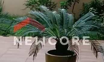 Imagem 6: Casa em Rua Visconde de Cairu - Jardim Bela Vista - Piraquara/PR