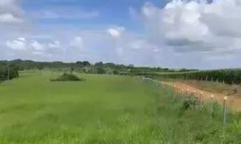 Imagem 7: Chácara à Venda em Silvânia/GO 3 Alqueires