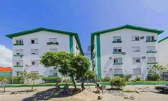 Imagem 7: Apartamento 2 quartos para aluguel Pelotas