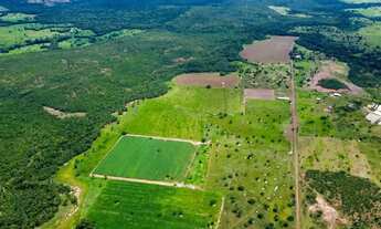 Imagem 7: FAZENDA MUNICÍPIO DE NOBRES