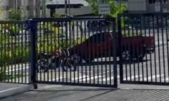 Imagem: VIVA VIDA FLORES - Imóvel para aluguel