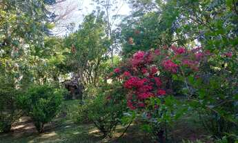 Imagem 4: VENDO SÍTIO LINDO. 330 mil aceito carro até 80 mi restante dinheiro l