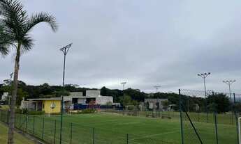 Imagem 6: Plateodoro privilege