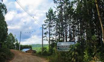 Imagem 4: Terreno - Bairro Linha Ávila