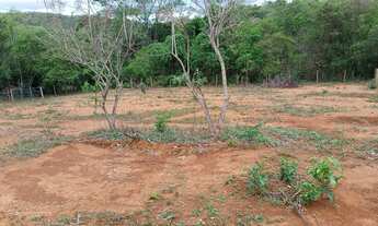 Imagem 2: Vendo chácara de 1500 metros toda cercada com energia (pego carro pego moto