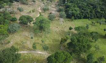 Imagem 4: Chacara para criação de gado em Goiás Velho com otimo preco