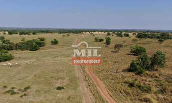 Imagem 2: Fazenda 198 Alqueire (958 hectares) Araguapaz - GO