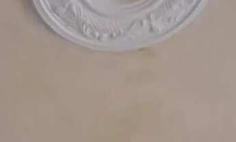 Imagem 6: Casa para alugar