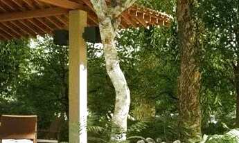 Imagem 5: Ágio ÁGIO LOTE JARDINS PARMA Lote à Venda, 274.14 por R$ 280000.00 no setor Jardins Parma