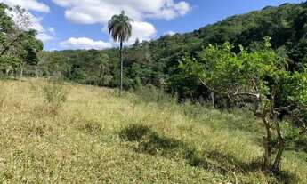 Imagem 4: Chácara de 15.000 m² com rio de águas cristalinas, terreno fértil. Jaboticatubas