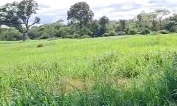 Imagem 5: FAZENDA À VENDA EM BARÃO DE MELGAÇO MT 2.100 HECTARES (PECUÁRIA