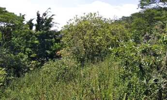 Imagem 3: Lote no Bairro Oriente Pinheiral. i