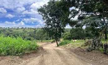 Imagem 7: Chácaras 1000m², R$35mil, Parcelado, Divisa Cachoeira do Éden, Energia, Aragoiânia