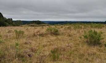 Imagem 7: 70 hectares de campo em São Francisco de Paula RS