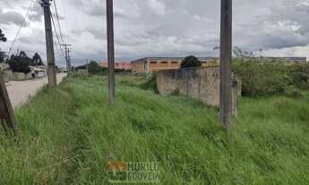 Imagem 7: Terreno com 15.000 m², à venda por R$ 11.200.000 - Eucaliptos, Fazenda Rio Grande (PR