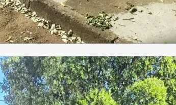 Imagem 2: Casa Bairro Taiaman