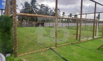 Imagem 4: Casa no Sunset Beach Residence com Pé-Direito Alto e Preparação para Ar