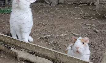 Imagem 2: Chácara barata top viana