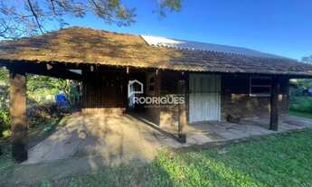 Imagem: Casa Para Aluguel em Morretinhos - Portão