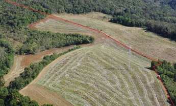 Imagem 3: Área rural Campo Largo 40,4 hectares, Bateias, 30 min Curitiba,1.700m do asfalto