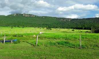 Imagem 4: Fazenda Rosário Oeste