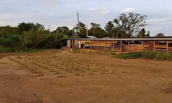 Imagem 6: Sitio Chácara com venda por R$300.000