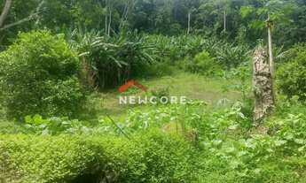 Imagem 6: Chácara em Ribeira - Centro - Ribeira/SP