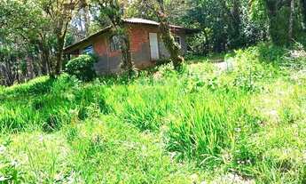 Imagem 4: Chácara em Tijucas do Sul, Paraná!