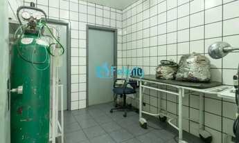 Imagem 5: Casa Comercial para locação com 400 m² no Jardim Felicidade