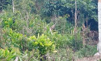 Imagem 4: Terreno são Francisco do sul