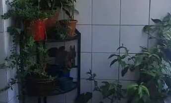 Imagem 7: Apartamento com 1 dormitório à venda, 50 m² por R$ 355.000,00 - Vila Assunção - Praia Gran