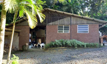 Imagem 7: Lindo Sítio no bairro Testo Rega - Pomerode - SC