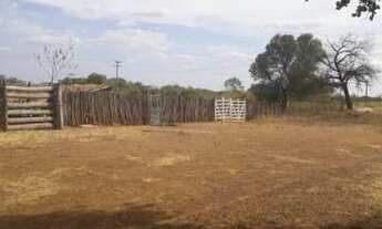Imagem 5: Excelente Fazenda com 380 hectares na chapada de Apodi-RN