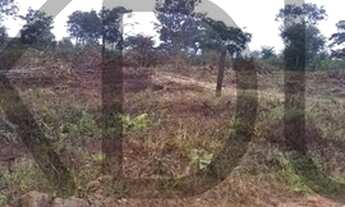 Imagem 3: Chácara à venda, 3 quartos, 1 vaga, Zona Rural - Poxoréu/MT