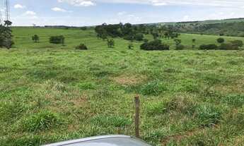 Imagem 3: Fazenda para venda em Martinesia com 82 alqueires