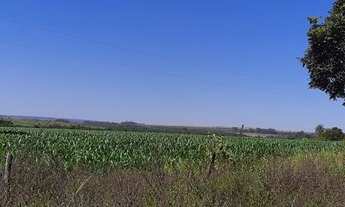 Imagem 7: Fazenda DF-310 194 Hectares !!! 10.670.000 !!!