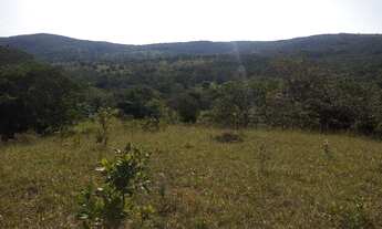 Imagem 4: Fazenda para venda com 37,5Alqueires em Cocalzinho de Goiás
