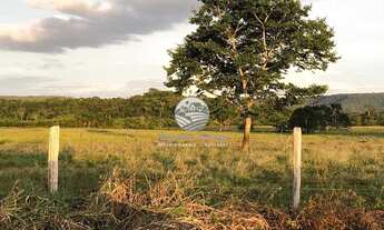 Imagem 7: Theobroma - Sítio - 22.5 Alqueires top